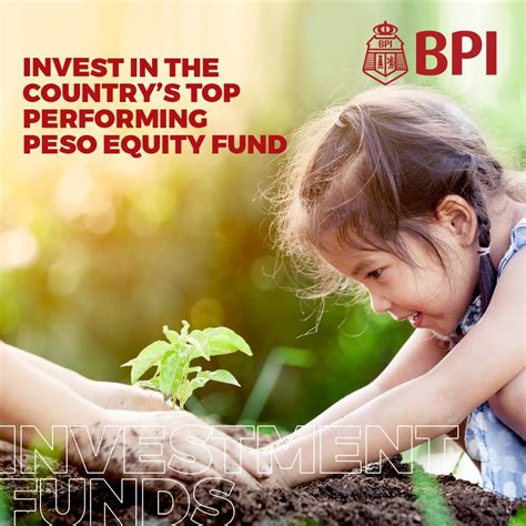 BPI CATHOLIC VALUES GLOBAL EQUITY FEEDER FUND.